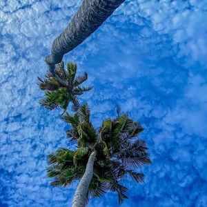 Meet your Posher, Colton